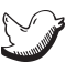 logo-home